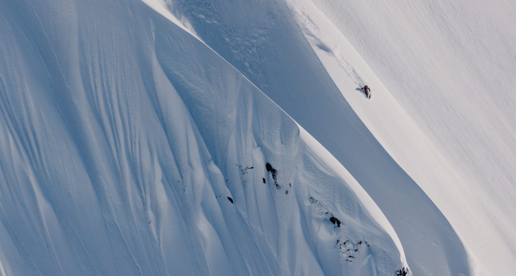 shannoncorsi nexus 7494 scaled aspect ratio 1280 686 scaled