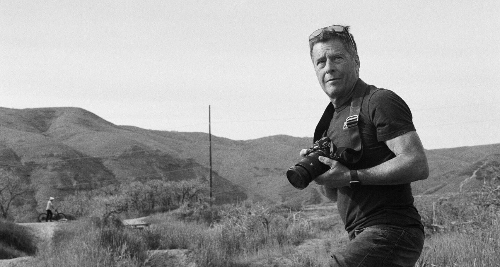 39500008 1 scaled aspect ratio 738 440 scaled