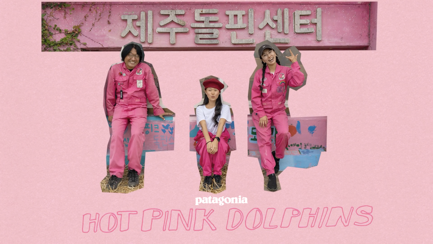 Hotpinkdolphinscover.001