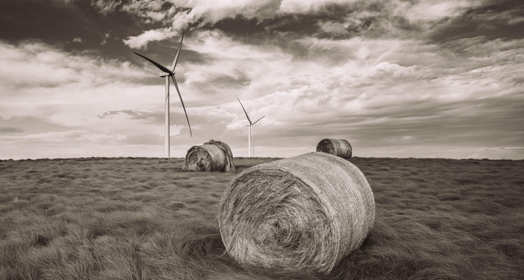 WGN09795 scaled aspect ratio 738 440 scaled