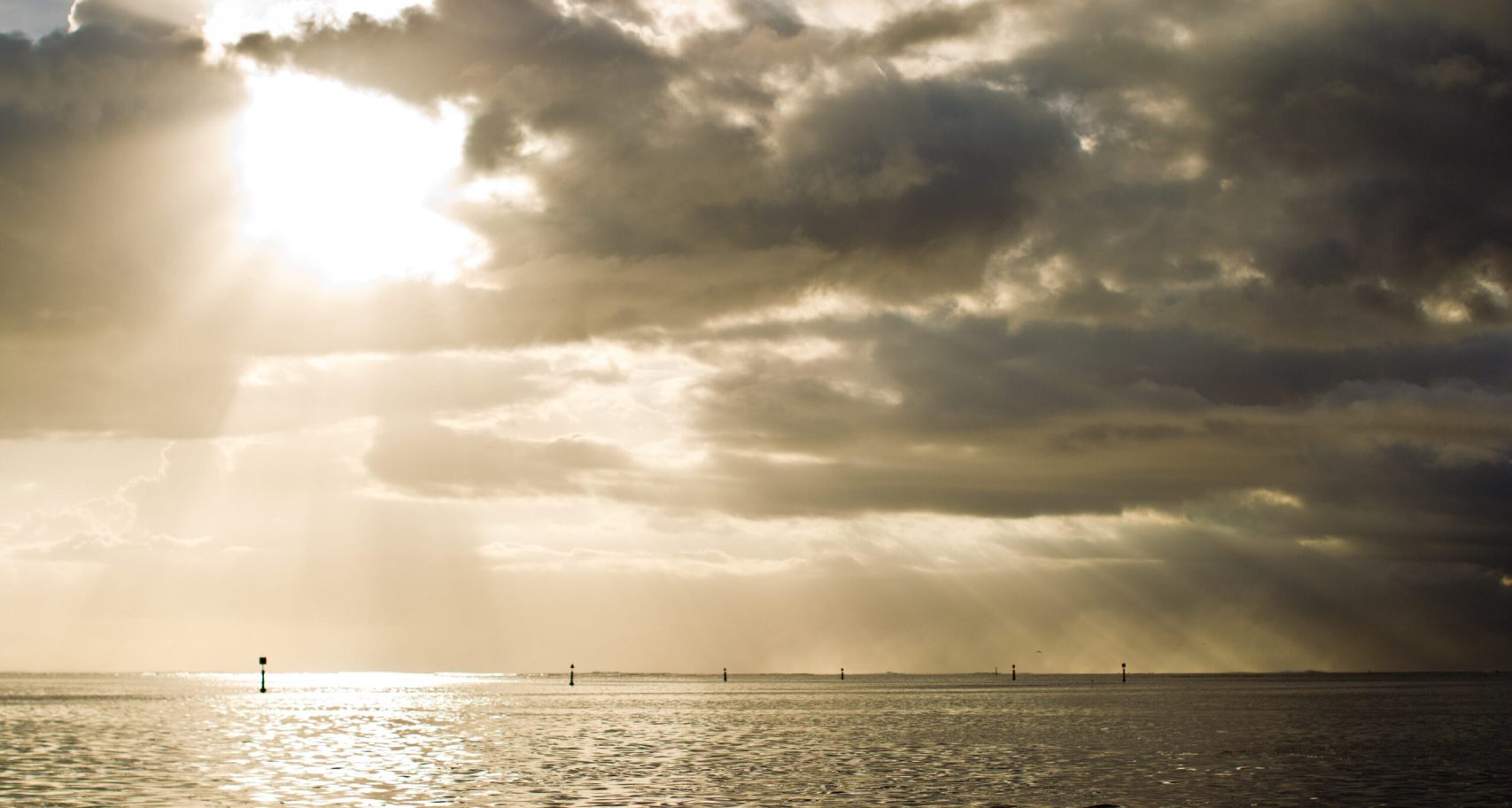 JWTI0491 scaled aspect ratio 738 440 scaled