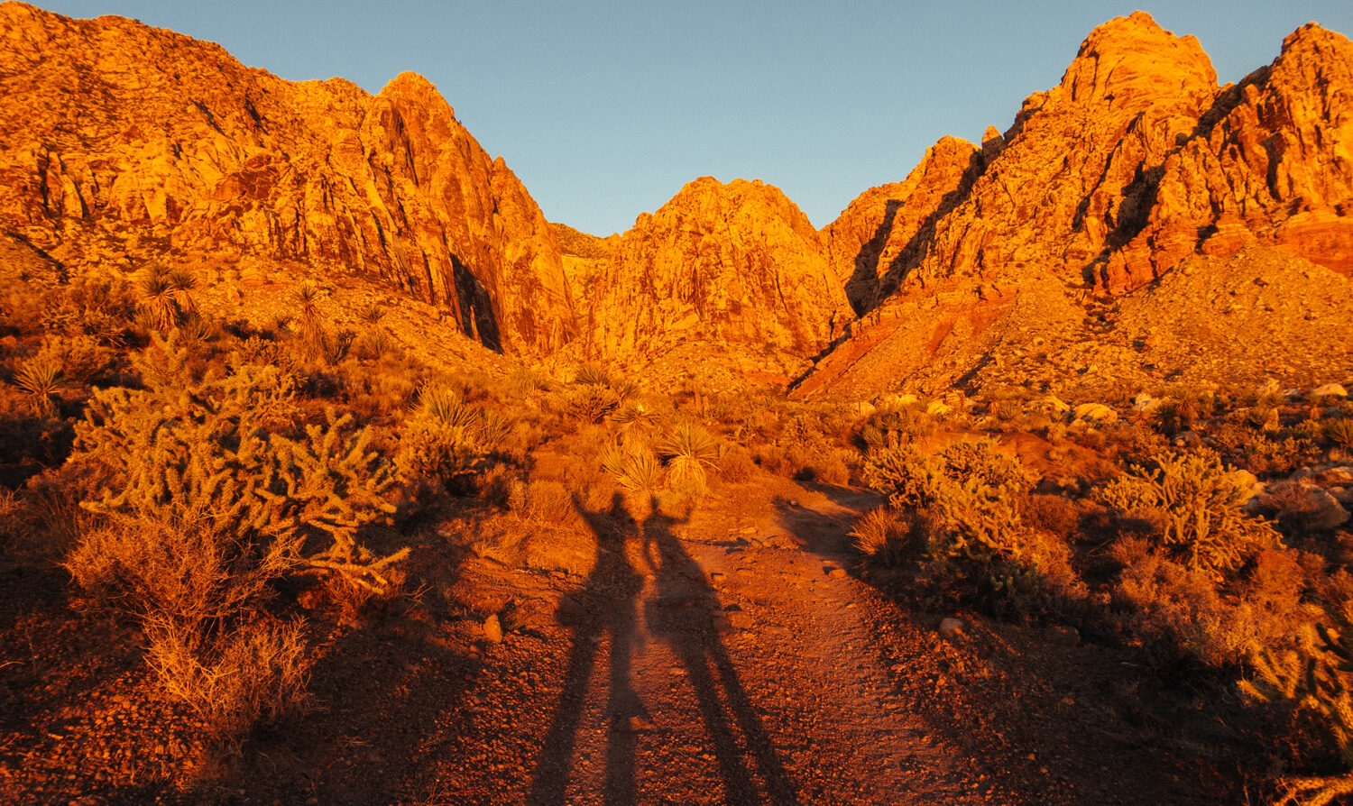 desert trip cover aspect ratio 738 440