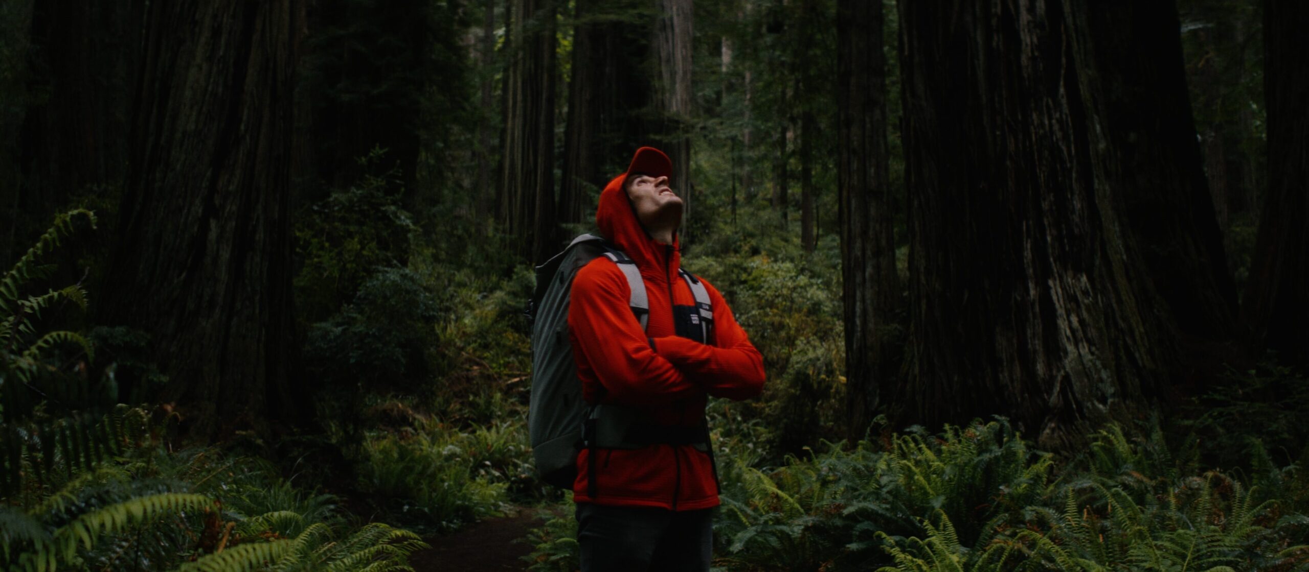 003 Sending Freeze Frame Ethan in Redwoods scaled aspect ratio 2433 1064 scaled