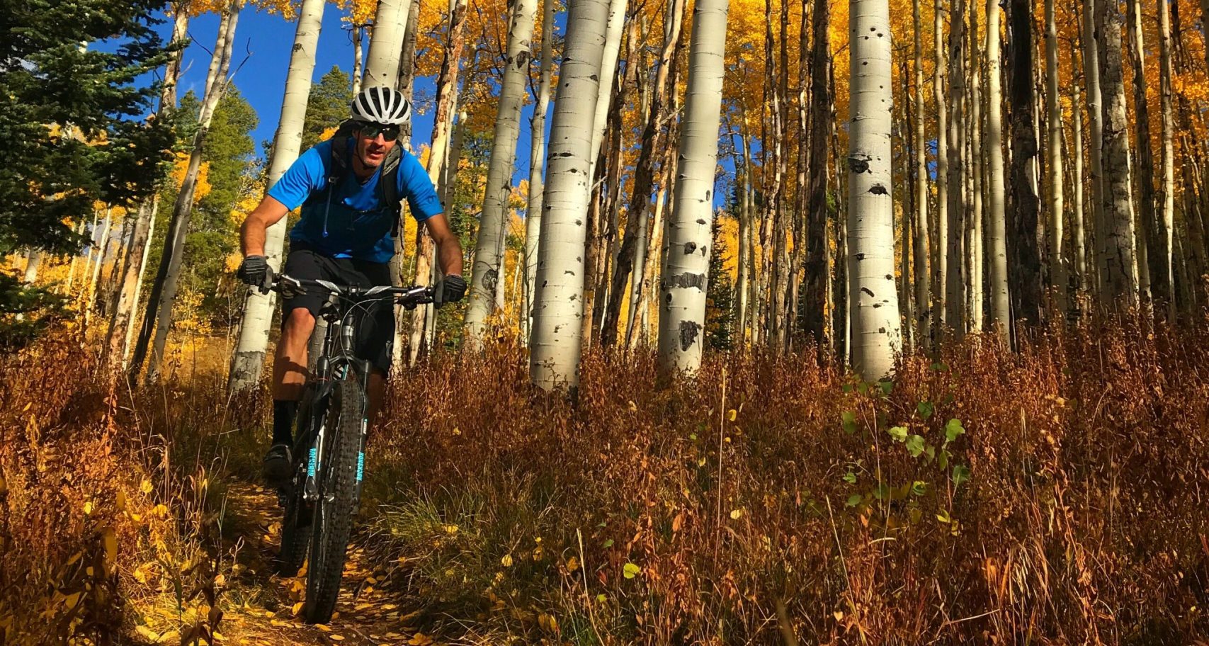 IMG 0187 scaled aspect ratio 738 440 scaled