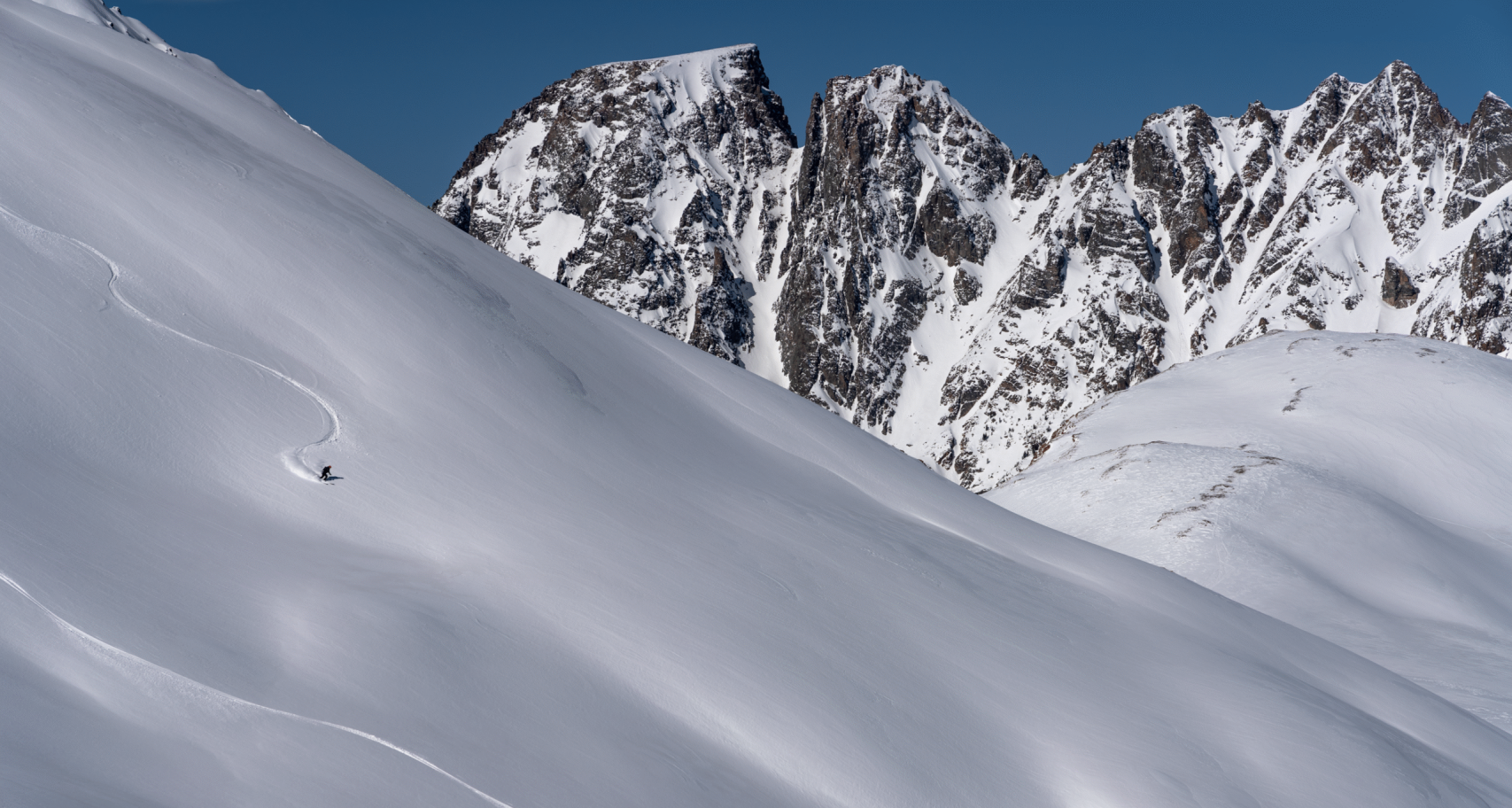 2021 04 01 Happy Grizzly in Cooke City 11 scaled aspect ratio 1280 686 scaled