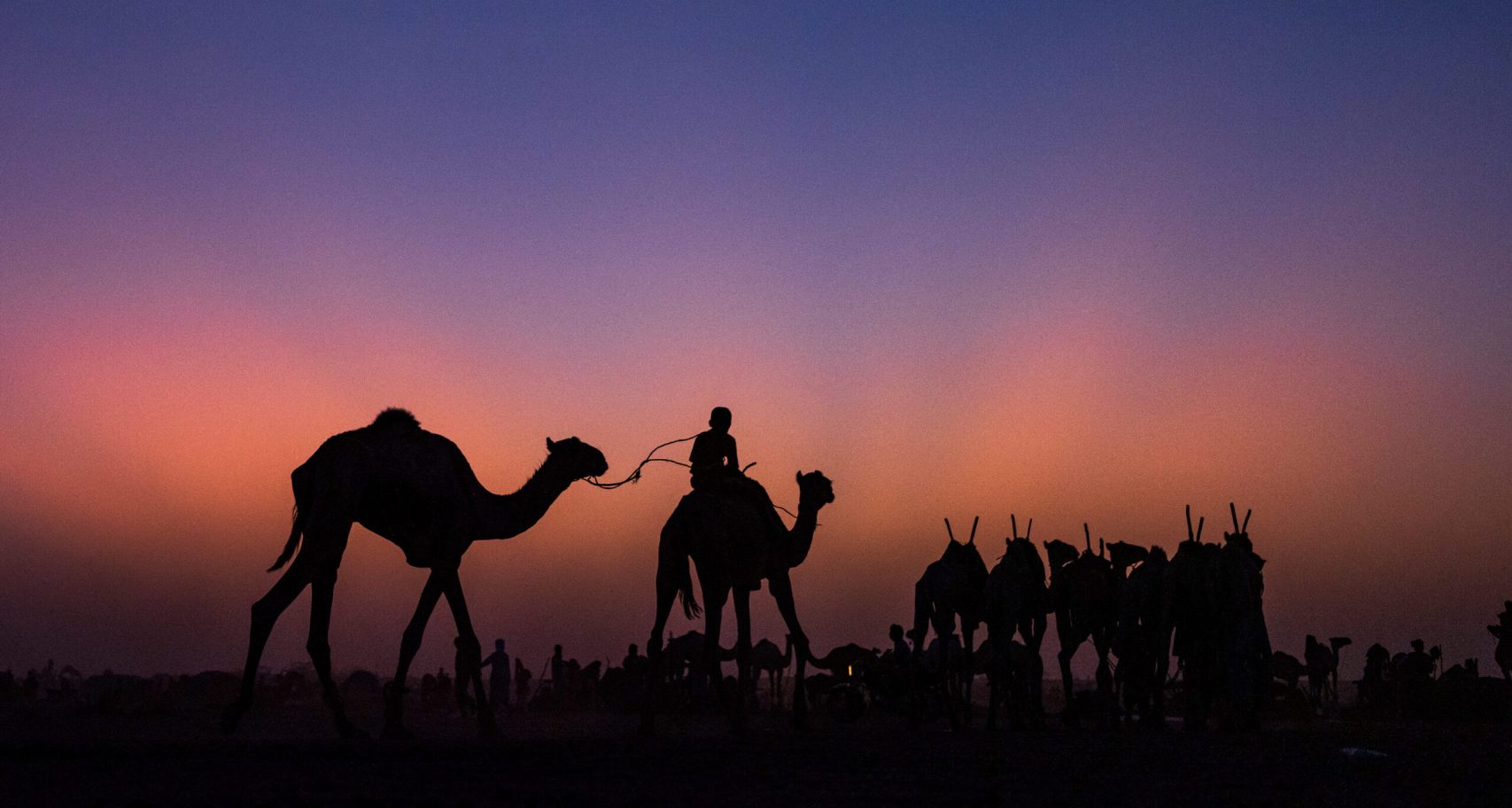 DSCF4035 scaled aspect ratio 738 440 scaled