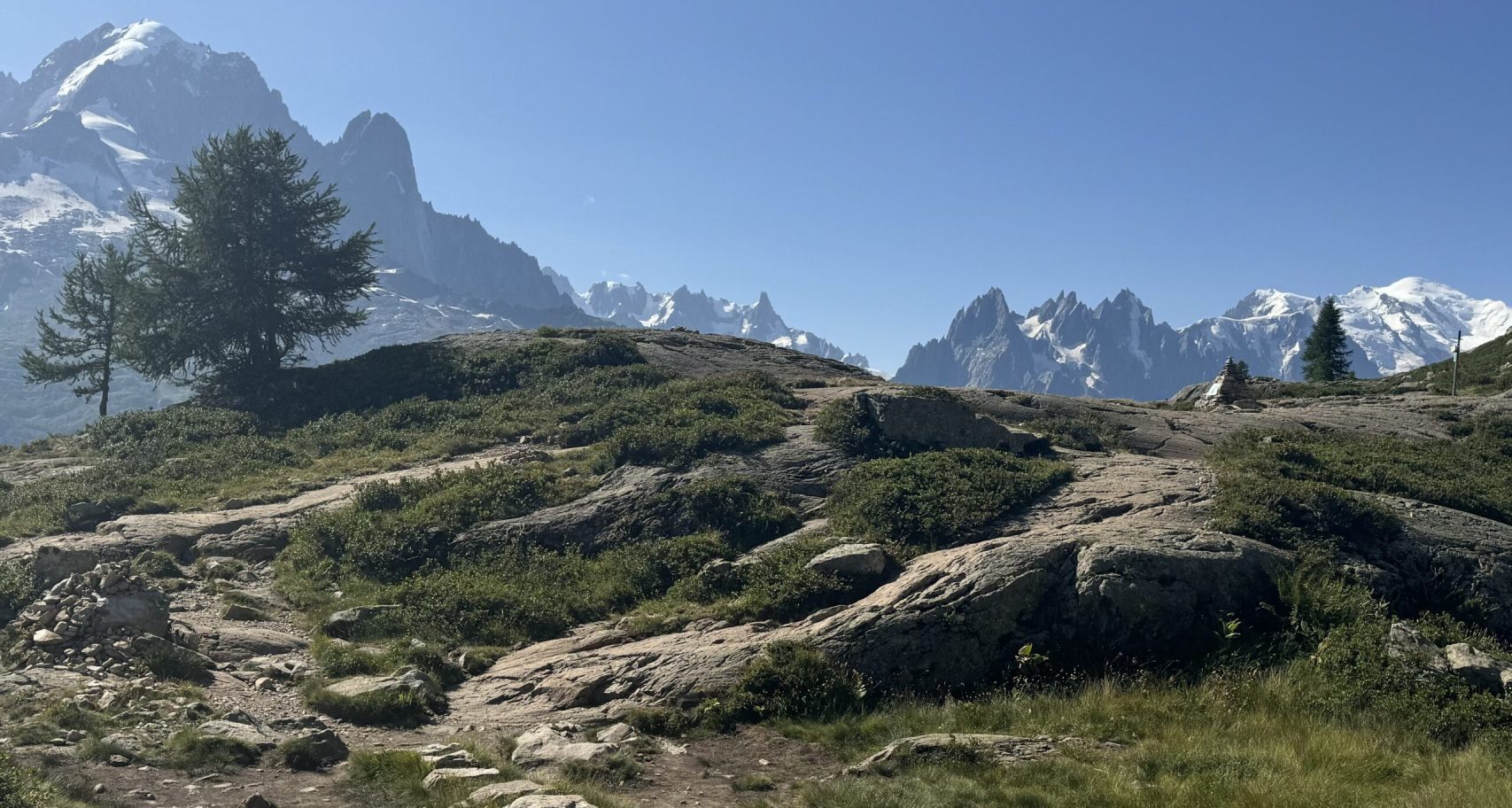 IMG 0683 scaled aspect ratio 738 440 scaled