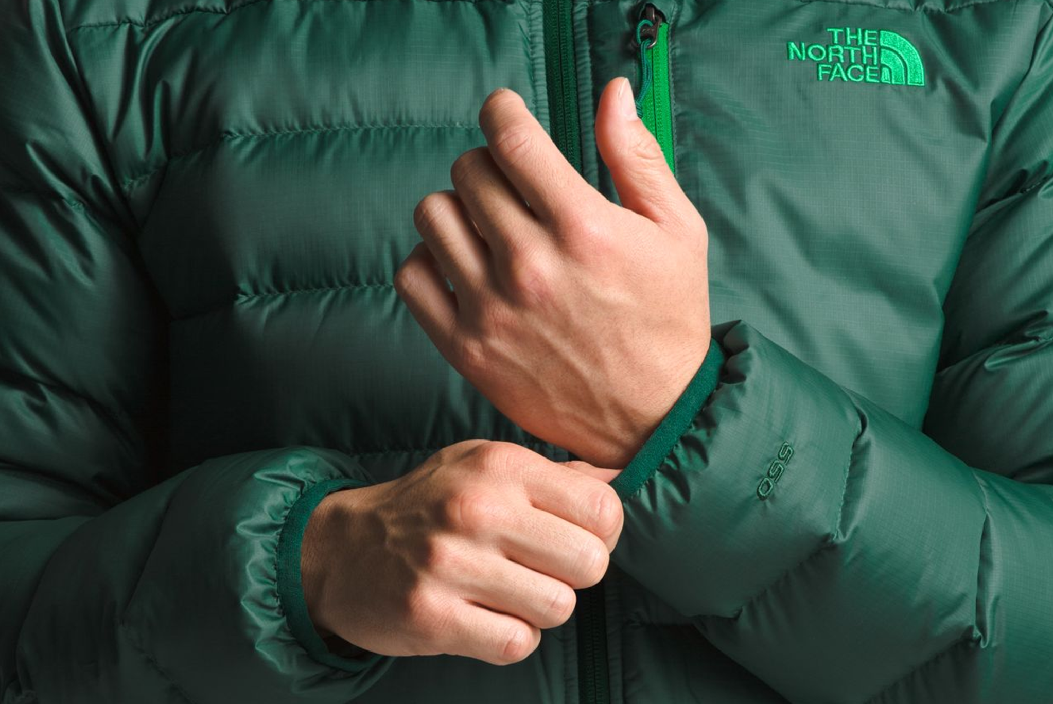 tnf TNF Headerimage