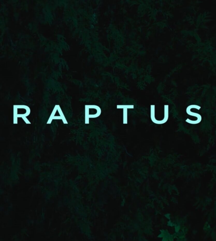 Raptus 4.1.1 aspect ratio 306 342