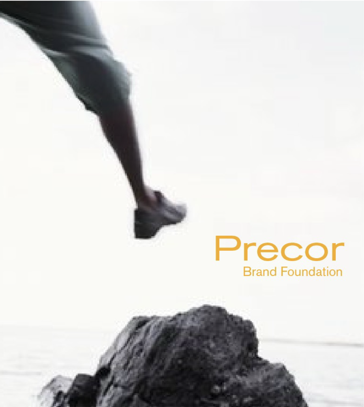 Precor Brand FoundationCover scaled aspect ratio 306 342