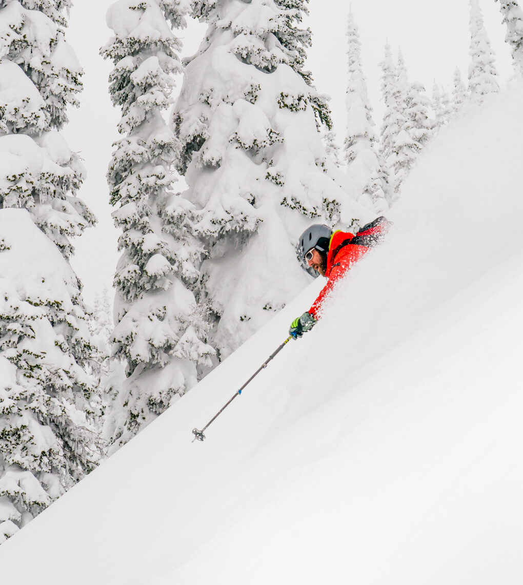 CAMP CONTOUR ski Resize 34 aspect ratio 306 342